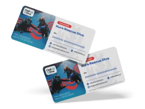 Kurs PADI Rescue Diver (Nurek ratownik)